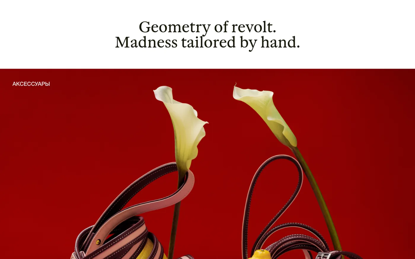 Screenshot: Home · “Geometry of revolt”