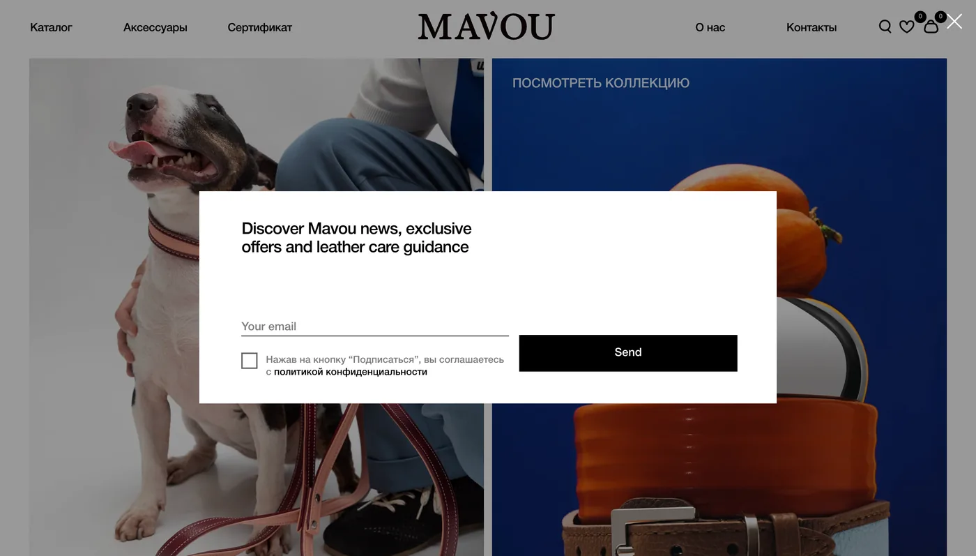 Screenshot: Newsletter form